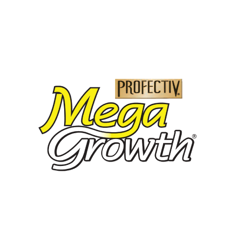 Megrowth